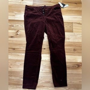 Edyson Haylee Skinny Velvet Skinnies New With Tag